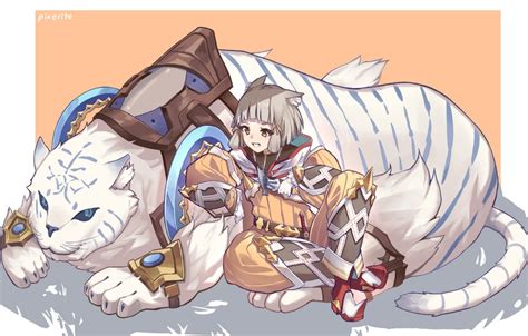 Nia And Dromarch Xenoblade Chronicles And 1 More Drawn By Pixerite