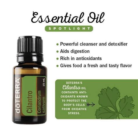 Doterra Cilantro Essential Oil Uses With Food Recipes Aceites