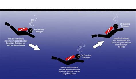 Decompression Diving Guide Dive Longer And Explore Further