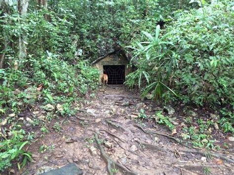 Cave Entrance Is Hidden In The Jungle Picture Of Belize