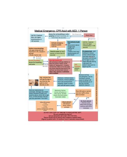 Msds Cpr Bls For The Healthcare Provider Flowcharts