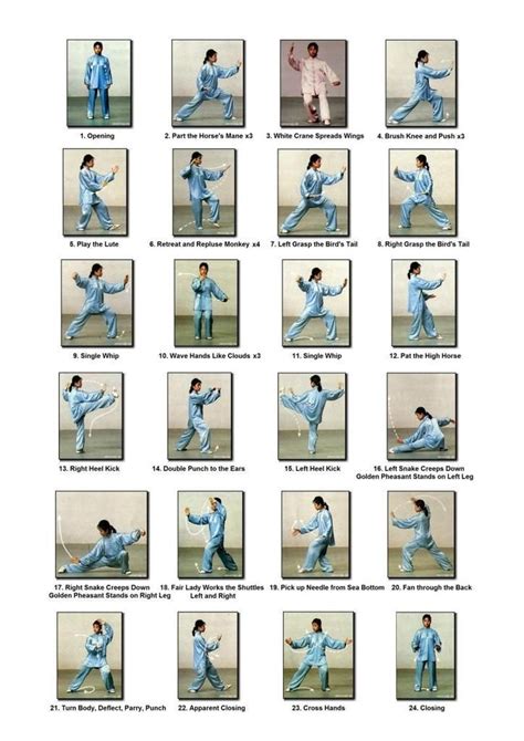 Yang Tai Ji Quan Tai Chi Chuan 24 Techniques Kung Fu Tai Ji Martial