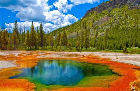 Amerika Da Heyecan Verici Bir Gezi Yellowstone Milli Parkı