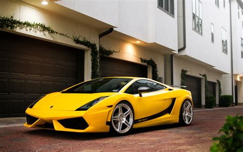 🔥 36 Yellow Lamborghini Murcielago Wallpaper Wallpapersafari