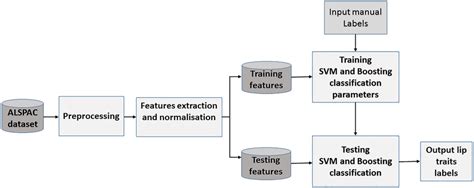 Classification Block Diagram This Diagram Illustrates The Proposed Download Scientific Diagram