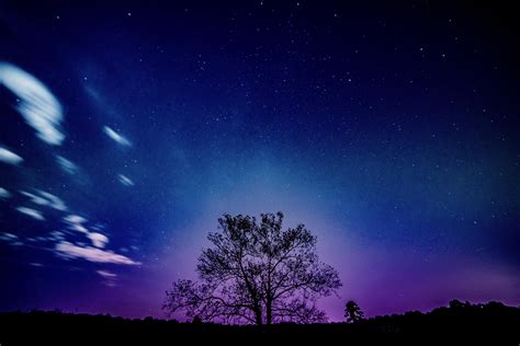 Tree Galaxy Sky 8k Hd Nature 4k Wallpapers Images