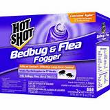 Pictures of Bed Bug Spray Walmart Hot Shot