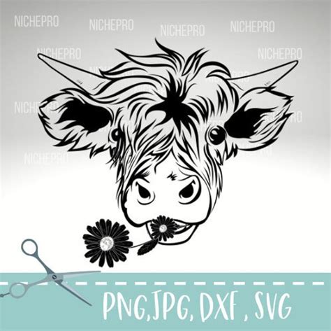 Free 175 Cricut Highland Cow Svg Free Svg Png Eps Dxf File