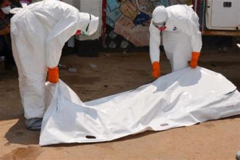 Die gesamtpopulation der gorillas wird auf rund 365.000 tiere geschätzt, die sich allerdings sehr unterschiedlich auf die einzelnen populationen verteilen. Afrika: Ebola-Epidemie breitet sich rasant aus - DIE WELT