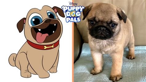 Puppy Dog Pals Characters In Real Life Cute Puppies