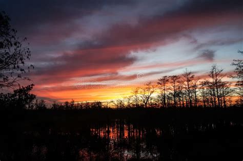 Stunning Sunrise In The Swamp Stock Photo Image Of Fishing Cloud