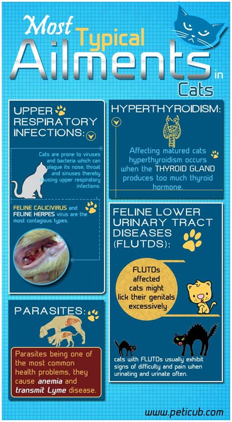 Most Common Diseases In Cats Cat Diseases Cats Cat Mom