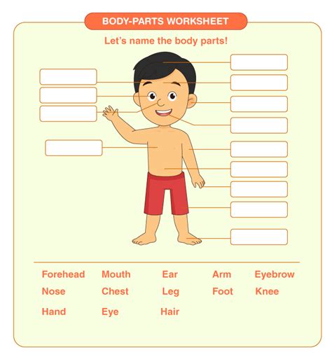 Parts Of The Body Kids Vocabulary Create Webquest
