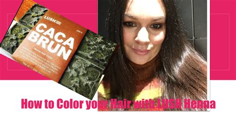 Beautiful Me Plus You How To Color Your Hair Lush Caca Brun Results