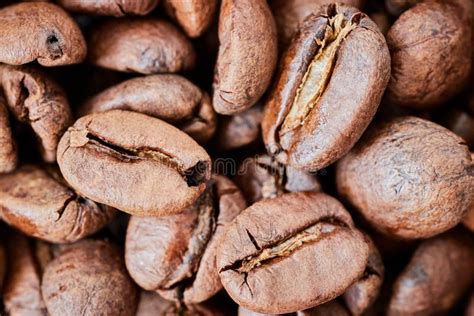Close Up Picture Of Freshly Roasted Coffee Beans Stock Image Image