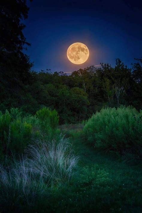 Moon Photos Moon Pictures Nature Pictures Stars Night Good Night