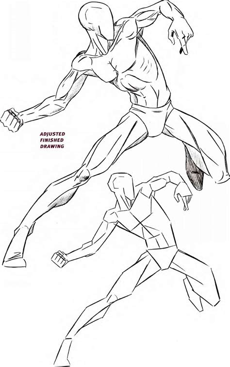 Male Anatomy Reference Anime Drawing The Human Figure Tips For