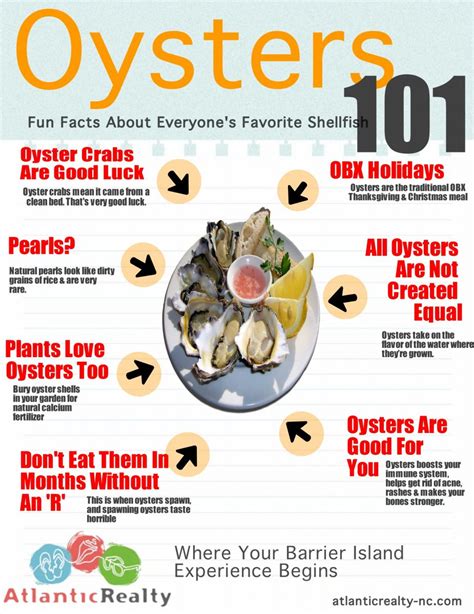 Oysters 101 Atlantic Realty Nc