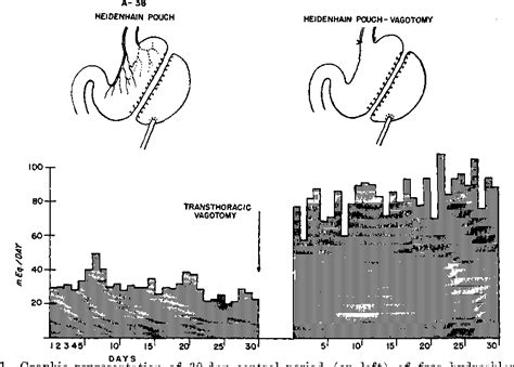 Figure 1 From Gastric Secretion In Heidenhain Pouches Following Section