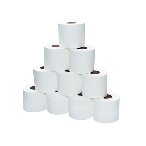 Soft N Cool Tissues Rolls 2 Ply 300 Sheets 100 Rolls Hotpack Global