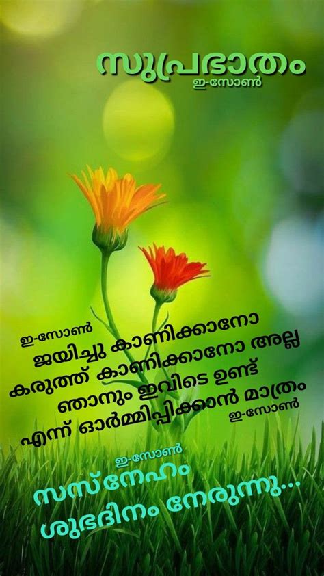 Good Morning Quotes Malayalam Sunday Morning Wishes