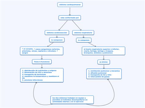 Sistema Muscular Mind Map Sexiz Pix The Best Porn Website