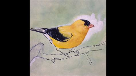 Goldfinch Painting Youtube