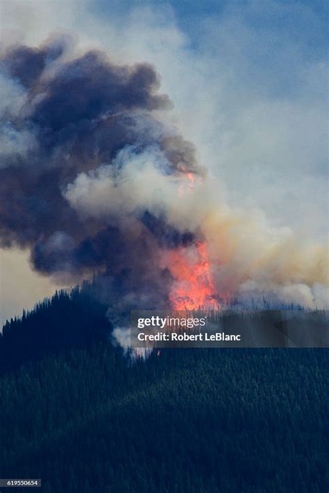 Montana Forest Fire High Res Stock Photo Getty Images