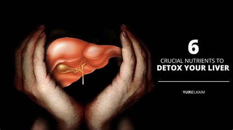 Liver Detoxification 6 Things Your Liver Needs From You Yuri Elkaim