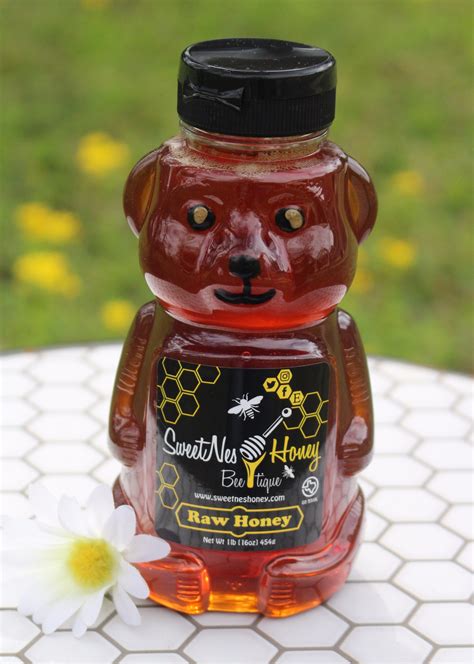 Sweetnes Raw Unfiltered Local Honey 16oz Squeezable Bear Sweetnes