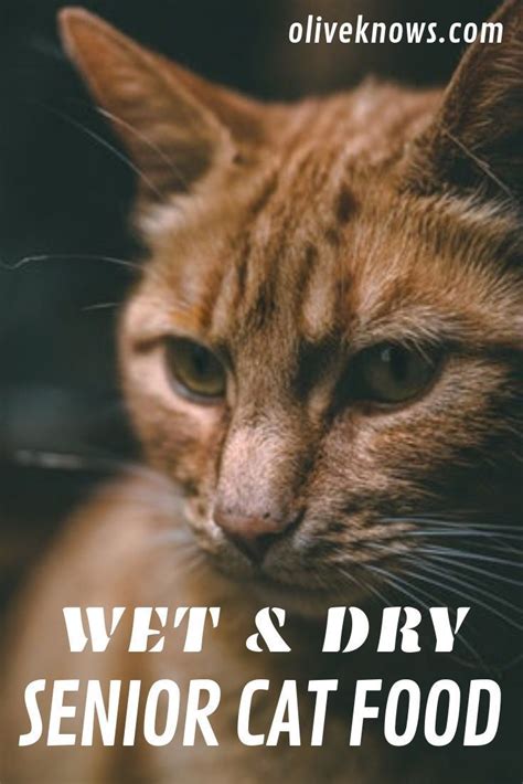 Nutro wild frontier grain free dry cat food. Suchen Sie nach dem besten Nass- und Trockenfutter für ...