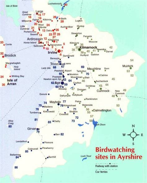Welcome Ayrshire Birding