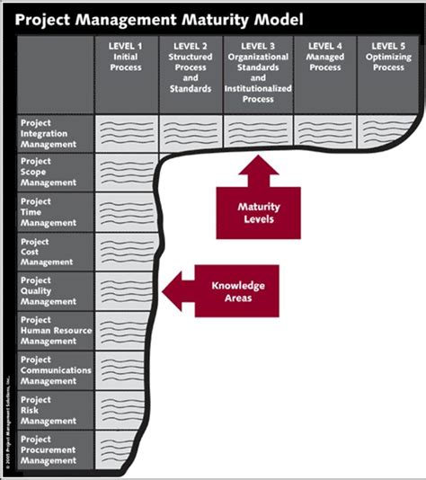 Pm Solutions Project Management Maturity Model Pms Pmmm Adapted