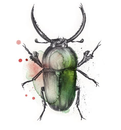 Esra Røise Bugs 197 Beetle Art Insect Art Bug Art