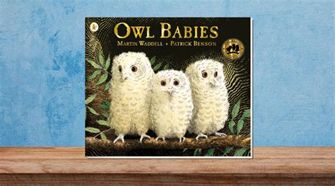Owl Babies Book Cover Wonderkin Eight Great Books About Owls To