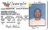 Images of Ga License Check