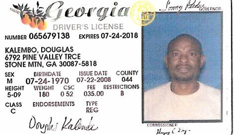 Gladiator Licensed Collegiate Primetime Locker: Georgia Drivers License