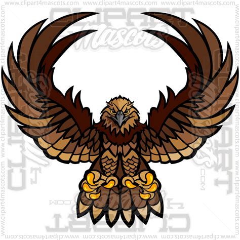 Hawk Logo Image Vector Or  Formats