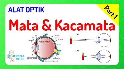Alat Optik Fisika Kelas 11 Part 1 Mata Gangguan Penglihatan Miopi