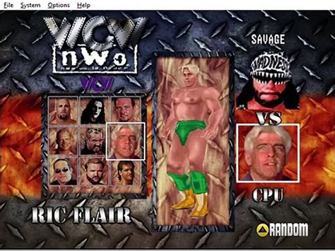 Wcw Nwo Starrcade Mod Matches Randy Savage Vs Ric Flair Video