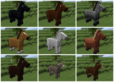 Minecraft Texture Packs Equestrian Luisa Rowe