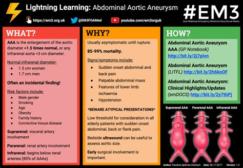 Lightning Learning Abdominal Aortic Aneurysm — Em3