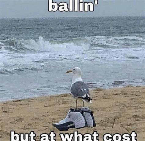 Ballin But At What Cost Meme Shut Up And Take My Money