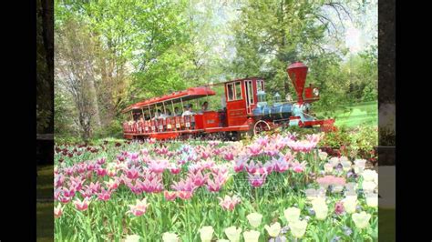 Come with me to know more about track train! The Best Garden Trains You Can Ride 2015 - YouTube