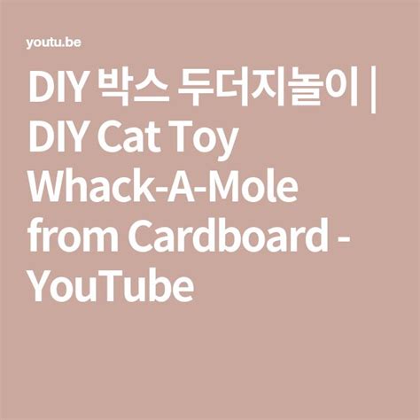 The Words Diy Cat Toy Whack A Mole From Cardboard Youtubee