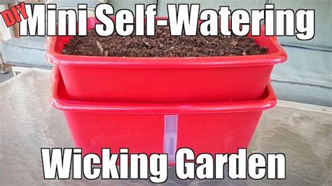 14 Best Diy Self Watering Container Garden Ideas Balcony