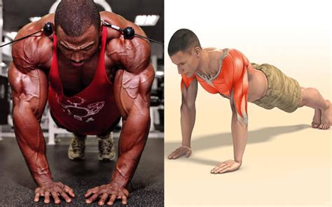 17 different push up variations for total body strength project next