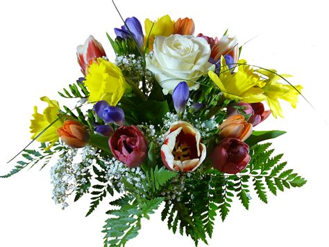Blumenstrauss Freigestellt Kostenloses Foto Auf Pixabay Pixabay