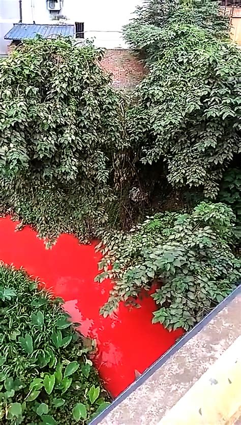 Investigators Pinpoint What Caused This River To Turn Blood Red