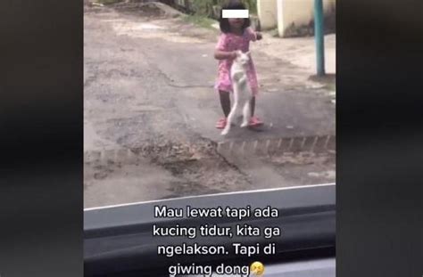 Bocah Singkirkan Kucing Di Tengah Jalan Netizen Pengen Sungkem Sama